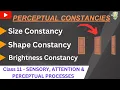 Perceptual constancy - size shape and brightness constancy Class11 Psychology Chapter 5
