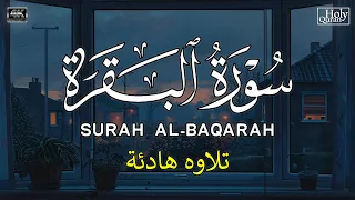 سورة البقرة لحفظ وتحصين المنزل بصوت هادئ للقارئ محمد هشام Surah Al Baqra 