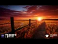 Dan + Shay - How Not To (Lyrics)