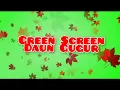 GREEN SCREEN DAUN GUGUR