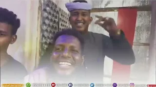 جديد2026 الفنان ابو القاسم ود دوبا السودان 