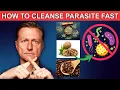 Parasite Cleanse for Humans with Dr Berg Recommendation Wormwood Black Walnut Clove for Cleansing