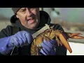 Sourcing Our Catch