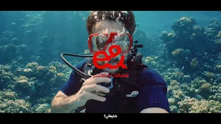                                                                                    دندنها