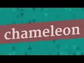 CHAMELEON pronunciation How to pronounce CHAMELEON