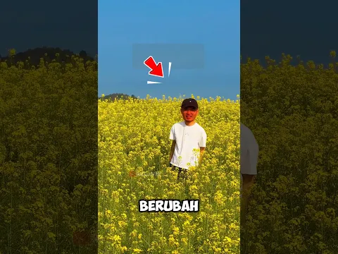 Awal nya marah dan nangis tapi setelah melihat hasil nya ia kaget