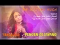 Download Lagu PENGEN DI SAYANG
