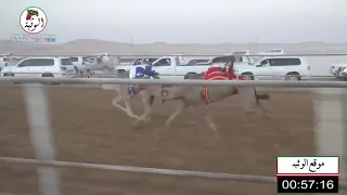 الشوط 1 غرياقه لـ محمد حمد راعي قحير الدرعي 2 10 93 شارة الصندوق 2021 5 15 الرقيعات فطامين 