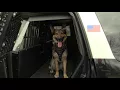 Marlborough K-9 Unit Opioid Epidemic