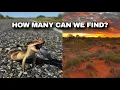 Lizard Hunting in Outback Australia
