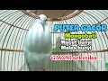 SOLUSI TERBAIK UNTUK PUTER MACET BUNYI DENGAN SUARA PUTER PUTIH INI PASTI LANGSUNG NYAHUT