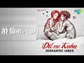 तेरे बिना - Lofi | Dil Ne Kaha - Romantic Vibes | Arijit Singh | Mann Taneja