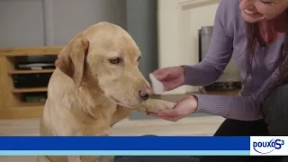 Douxo S3 Pyo fertőtlenítő törlőkendő kutyák és macskák számára | Petissimo