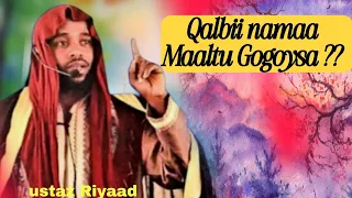 Wanni QALBII Namaa Gogoysaa Maalii Dhageeffadhu 17 October 2025 