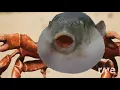 Rave Pufferfish - Flyingkitty Noisestorm RaveDj