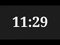 11 Minutes 29 Seconds Countdown Timer
