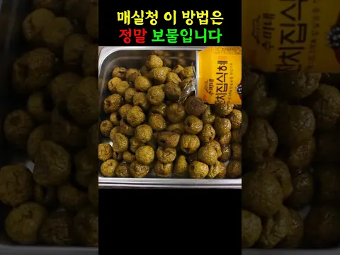 매실청 이방법은 정말 보물입니다