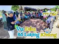Download Lagu Đông Paulo || Khó Chia Quá Anh Ơi! Chỉ Vụ Đầu Mà Số Lượng Khủng Quá! 1 Nhà Sẽ Được Bao Nhiêu?