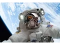 Download Lagu Space Night - How to become an Astronaut [HD]