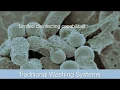 How the Esporta Equipment Washing System Works