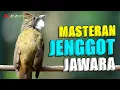 Download Lagu CUCAK JENGGOT GACOR NGEPIK MBESET ISTIMEWA MASTERAN WAJIB UNTUK SANG JUARA