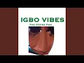 Lagu Igbo Vibes