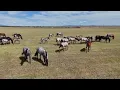 Munns Three Bar Quarter Horses Annual Production Sale