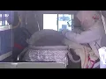 Download Lagu Conjoined Yemeni twins flown to Amman for surgery