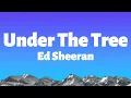Download Lagu Under The Tree - Ed Sheeran [lyrics + vietsub]