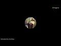 Download Lagu Parcours : Les béatitudes : le caractère du Royaume - Maitre Joseph