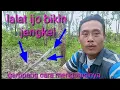 Download Lagu Cara menghilangkan bau pada pulut burung.mikat burung