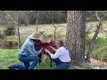 Buying A Used Saddle - Part 2