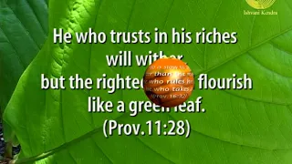 pearls of wisdom