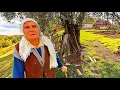 Download Lagu JEZIVO! OD 6 GODINE ME DALI U NAJAM, POSLIJE ŽIVILA S ONOM ŽIVOTINJOM
