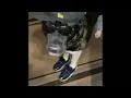 DOG WITH THE DRIP