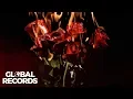 Vibe Drops Feat. Chriss Grey si Anna - Rose on Fire (Original Radio Edit)