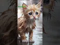 Download Lagu kasihan!! dia diusir dari rumah | kisah kucing sedih bikin nangis #kucingsedih #cat #shortvideo