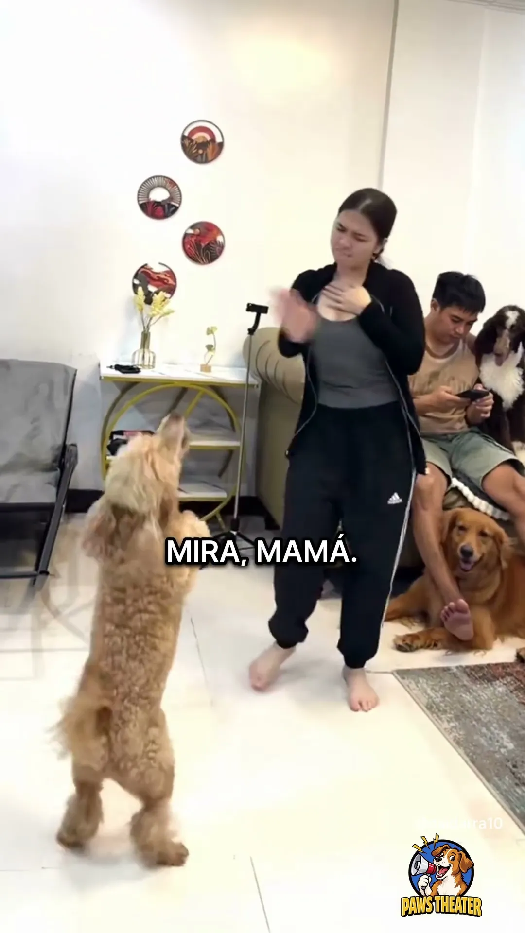 Yo Te Enseño, Mamá 🐶💃