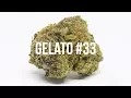 Gelato Strain Review - International Highlife