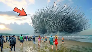 One In A Billion Moments In Nature Best Of 2024 