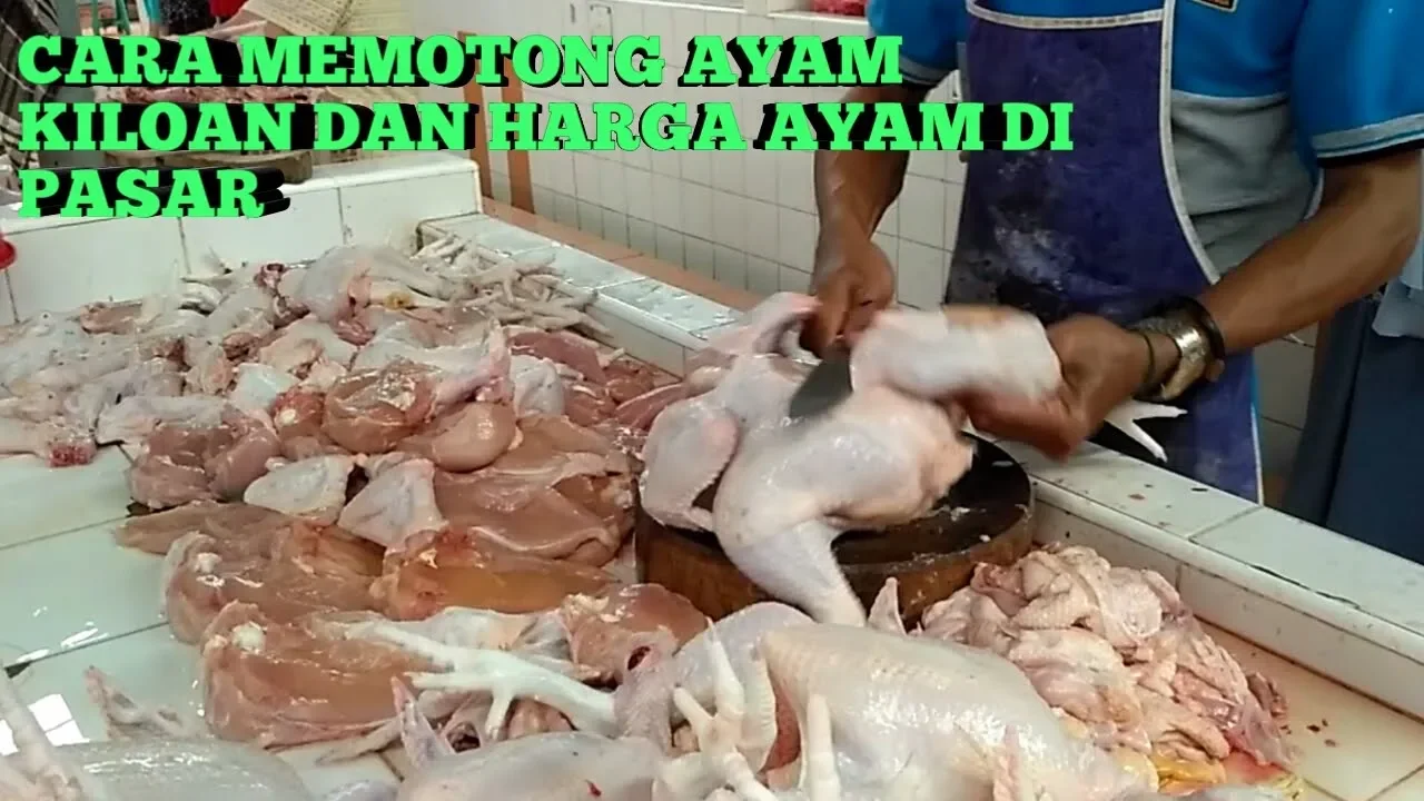 CARA MENGHITUNG MODAL AYAM KARKAS
