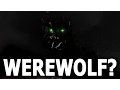 This Game is Loud Seriously this is a volume warning