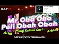 Download Lagu DJ MR OBA OBA ANGGA REMIX, DJ PELI OBAH OBAH VIRAL TIKTOK TERBARU 2023 DJ YANG KALIAN CARI ❗