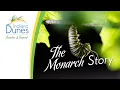 Download Lagu Dangers — The Monarch Story | Indiana Dunes