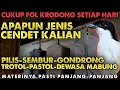 Download Lagu CARA SUPAYA CENDET NAMBAH MATERI LAGU SECARA CEPAT DAN MEWAH PANJANG-PANJANG