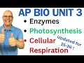 Crush AP Bio Unit 3 Enzymes Photosynthesis and Respiration