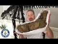 Largest Dinosaur Poop - Guinness World Records