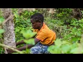Open defecation in Okokroko