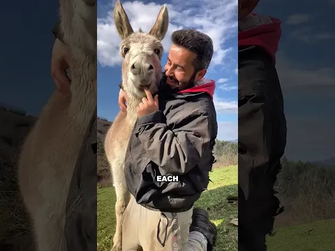 How one man and his adorable donkey found happiness together