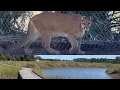 Oatland Island Wildlife Center